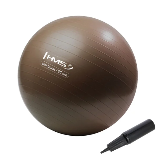 Võimlemispall HMS YB02N Gym Ball 65 cm, pruun - Image 2