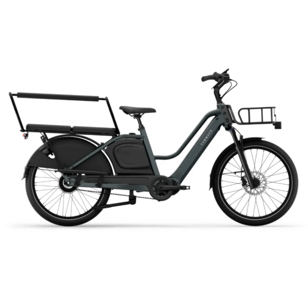 Elektriline kargoratas TENWAYS Longtail DUO