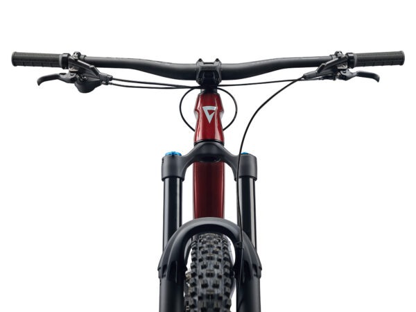 Maastikuratas GIANT Reign Advanced 2, 29" Sangria/Carbon (M) - Image 4