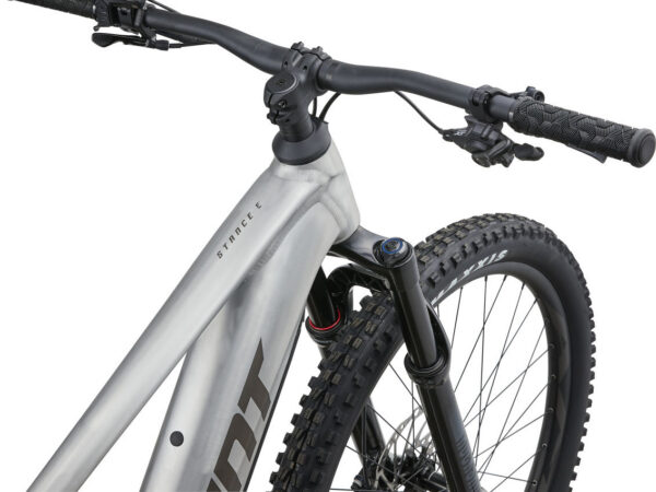 Elektrijalgratas GIANT Stance E+ 0 Pro, 29" Raw Aluminium (M) - Image 6