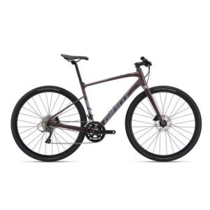 Jalgratas GIANT FastRoad AR 3, 28" Charcoal Plum (XL)