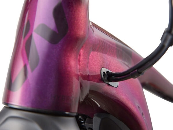 Elektrijalgratas LIV Intrigue X E+ 1 Pro, 29" Chameleon Plum (XS) - Image 4