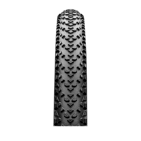 Väliskumm CONTINENTAL Tire Race King 50-622/ 29x2 Bl/Bl W - Image 2