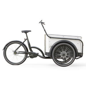 Elektriline kastiratas Urban Wheelz Royal Premium Plus