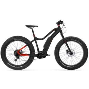 Elektrijalgratas TUNTURI Emax-SE (L)