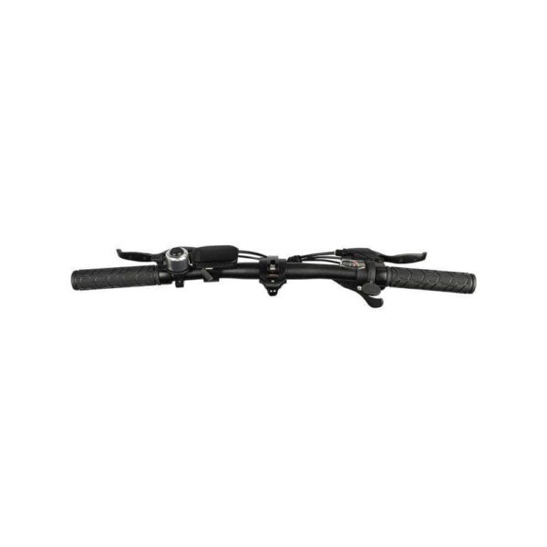Elektrijalgratas Fiido D21 (36 V / 11,6 Ah), kokkupandav - Image 6