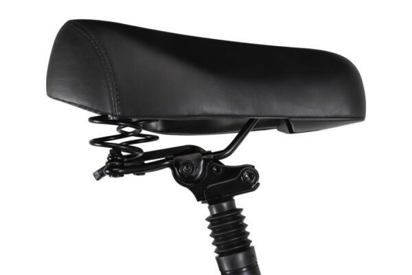 Elektrijalgratas Fiido T1 PRO (48 V / 20 Ah) - Image 6