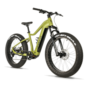 Elektriline fatbike LEADER FOX Braga 26": Green (L)