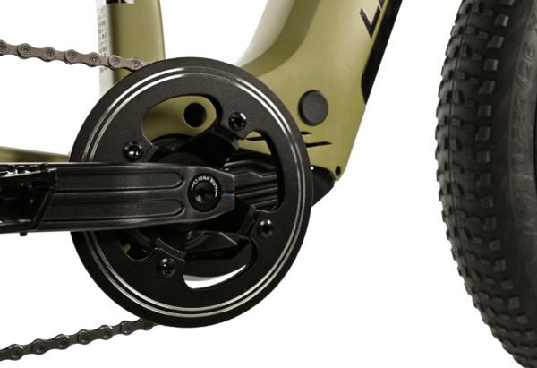 Elektriline fatbike LEADER FOX Braga 26": Green (L) - Image 5