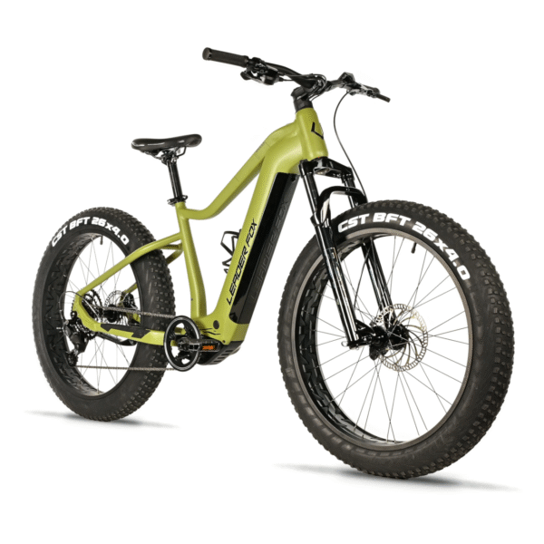 Elektriline fatbike LEADER FOX Braga 26": Green (L)
