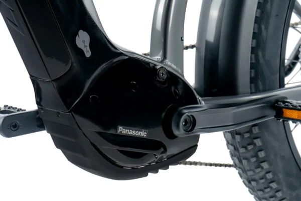 Elektriline fatbike LEADER FOX Brasa 26": Grey (M) - Image 4