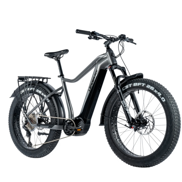 Elektriline fatbike LEADER FOX Brasa 26": Grey (M)