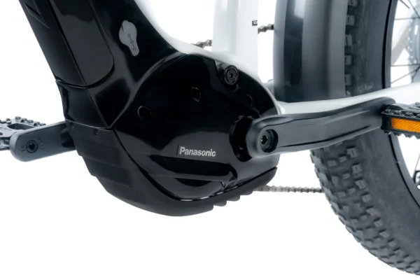 Elektriline fatbike LEADER FOX Brasa 26": White (L) - Image 5