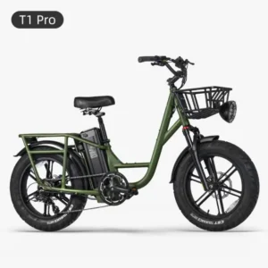 Elektrijalgratas Fiido T1 PRO (48 V / 20 Ah)