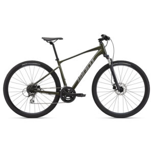 Jalgratas Giant Roam 3 Disc, Phantom Green (XL)