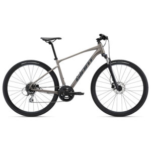 Jalgratas Giant Roam 3 Disc, Metal (S)