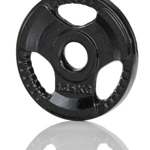 Raskusketas GYMSTICK Iron Weight, 30 mm, 1,25 kg