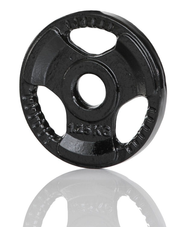 Raskusketas GYMSTICK Iron Weight, 30 mm, 1,25 kg