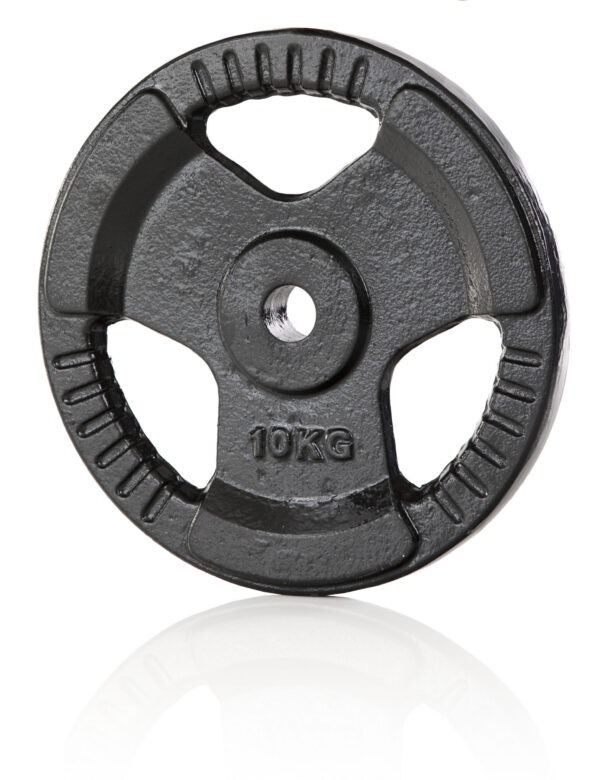 Raskusketas GYMSTICK Iron Weight, 30 mm, 10 kg
