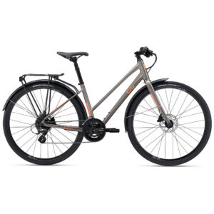 Naiste jalgratas LIV Alight 2 City Disc, Metal (S)