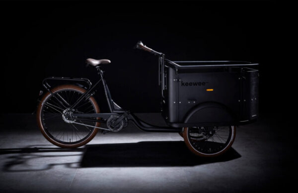 Elektriline kastiratas Keewee Bike - Image 6