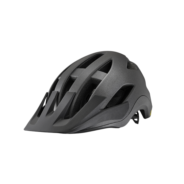 Kiiver GIANT Roost MIPS, Black Diamond (M)