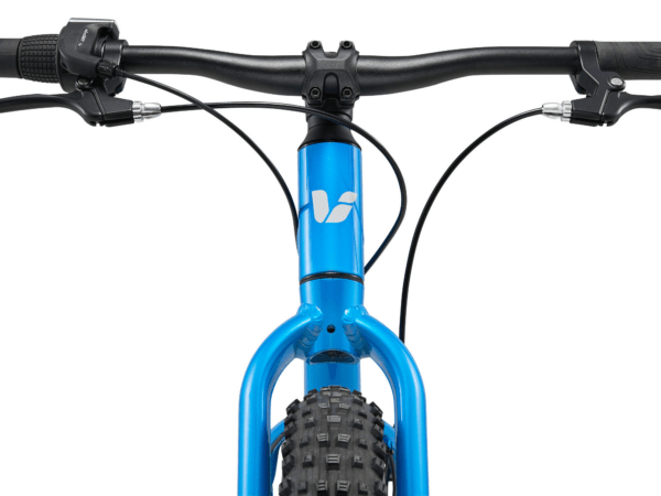 Laste jalgratas LIV STP 20, AI Blue - Image 4