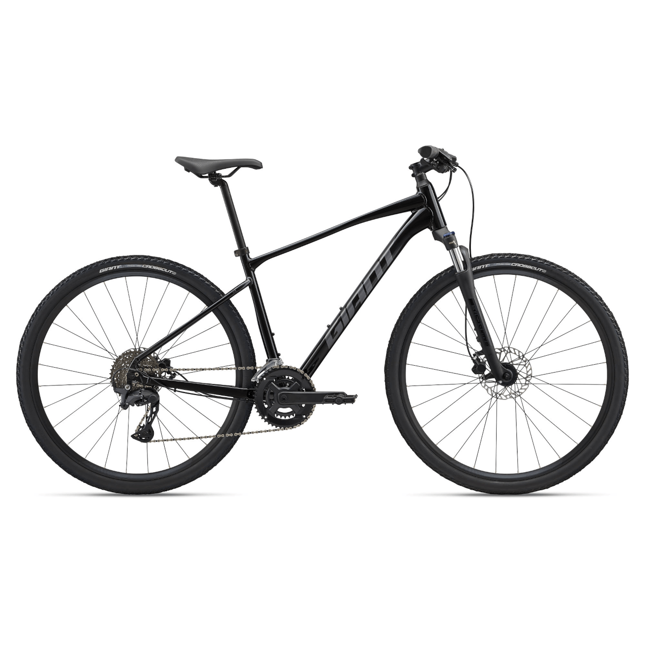 Jalgratas GIANT Roam 2, Black (XL)