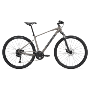 Jalgratas GIANT Roam 3, Metal (L)
