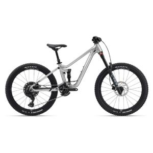 Laste jalgratas GIANT Faith 24, Raw Aluminium