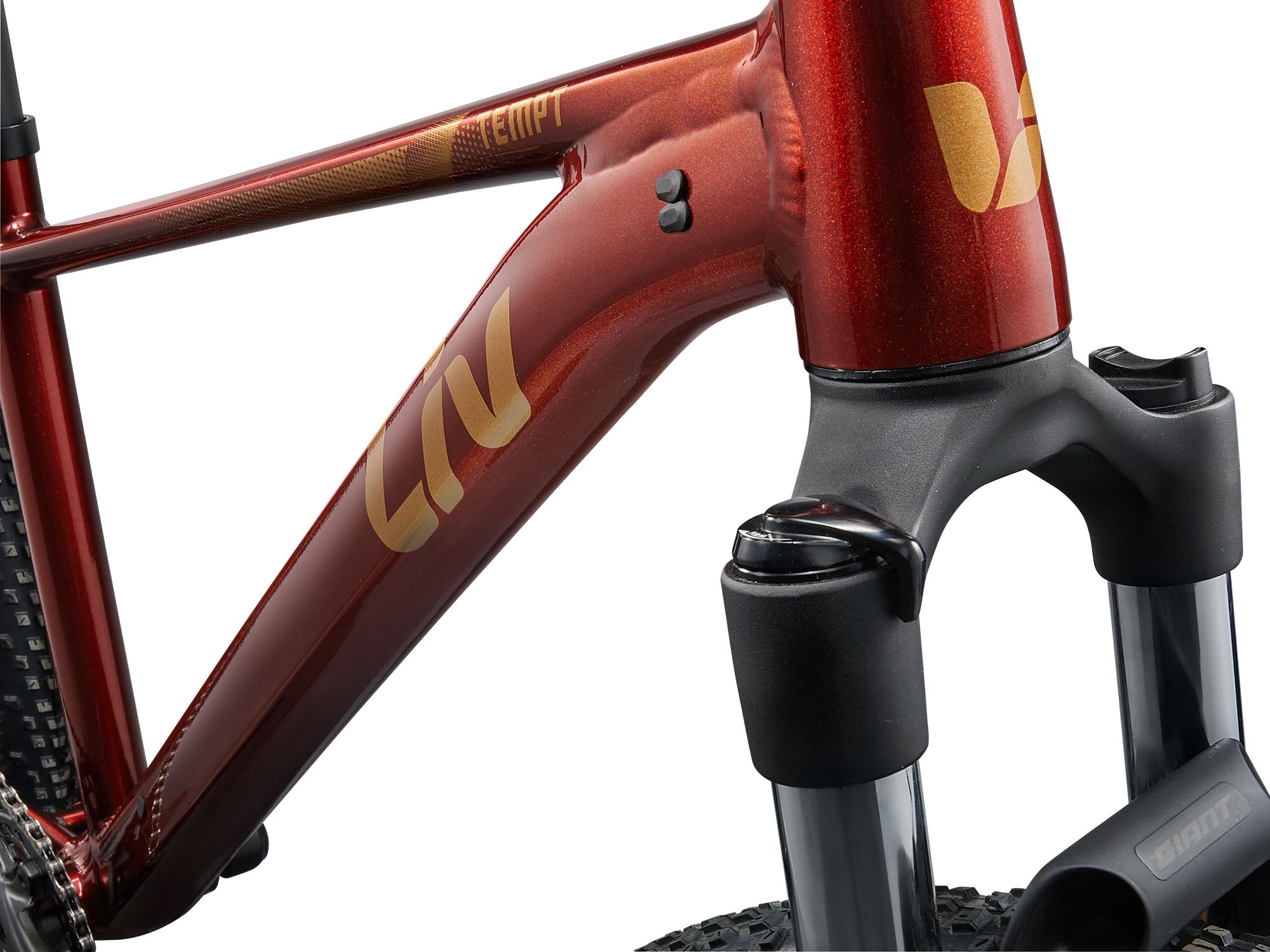 Noorte jalgratas LIV Tempt 2, 27,5" XS, Mars Dust - Image 7