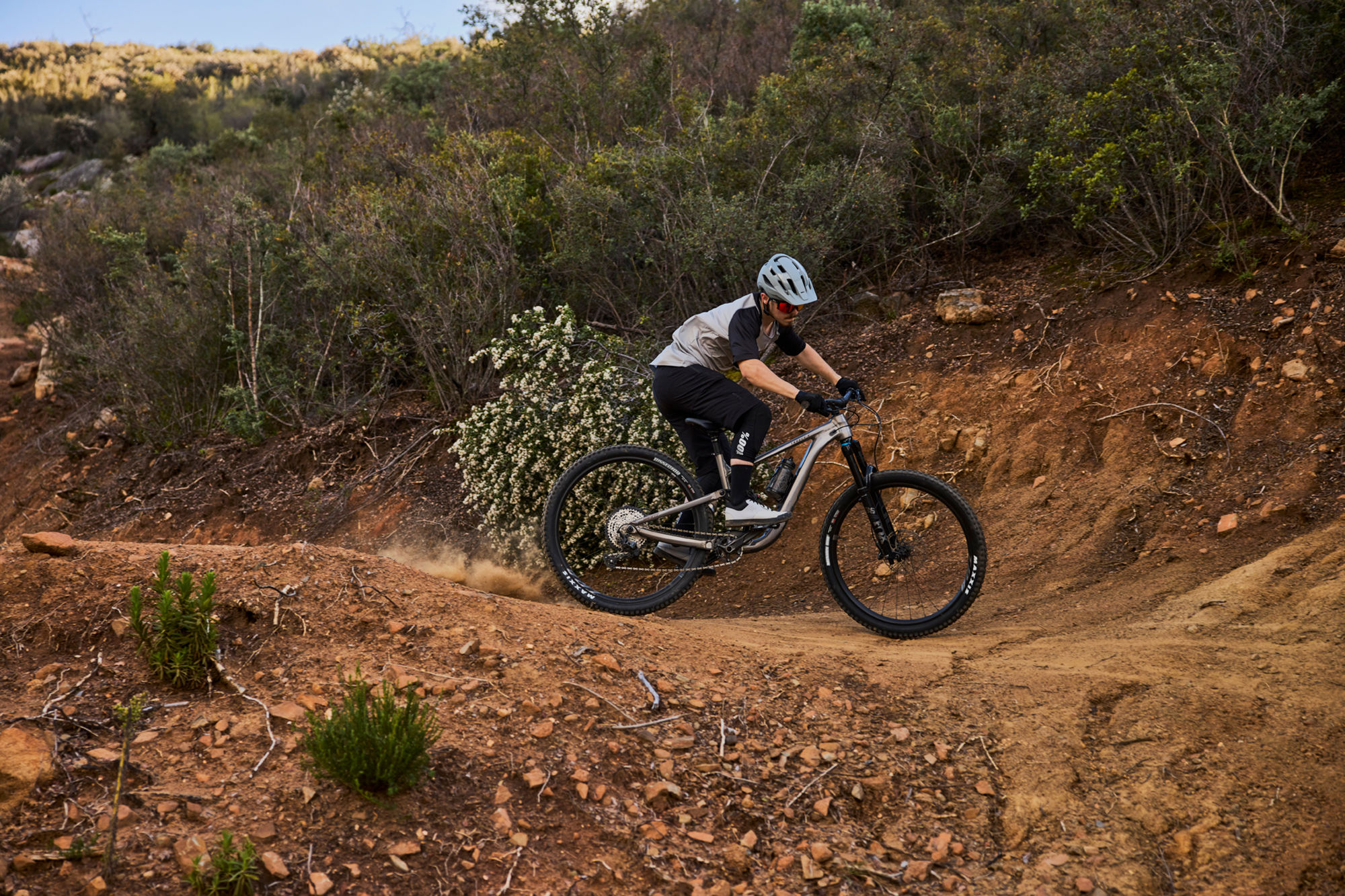 Maastikuratas GIANT Trance X 1, 29" Smoke Metal (M) - Image 11