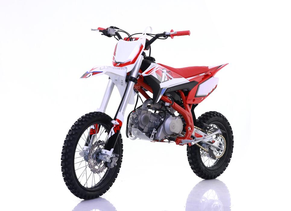 PITBIKE APOLLO THUNDER 140CC 17/14 – PUNANE ELEKTRISTARTERIGA - Image 3