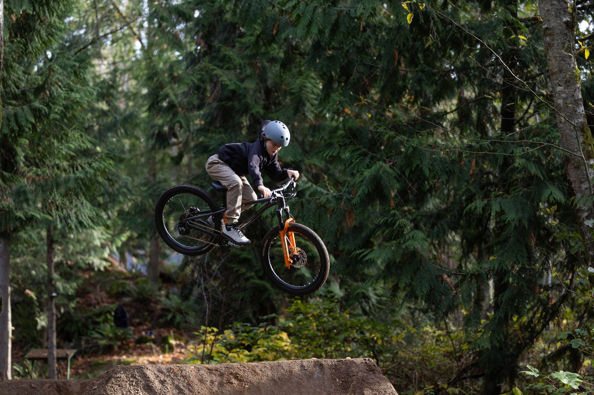 Laste jalgratas GIANT STP 24 (2026) Black Chrome - Image 9