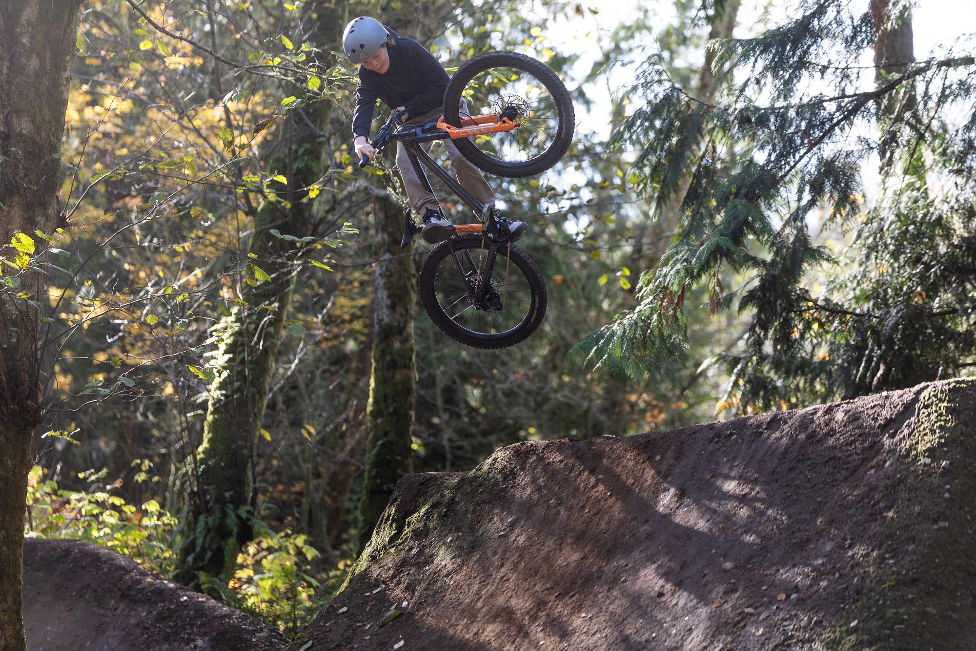 Laste jalgratas GIANT STP 24 (2026) Black Chrome - Image 8