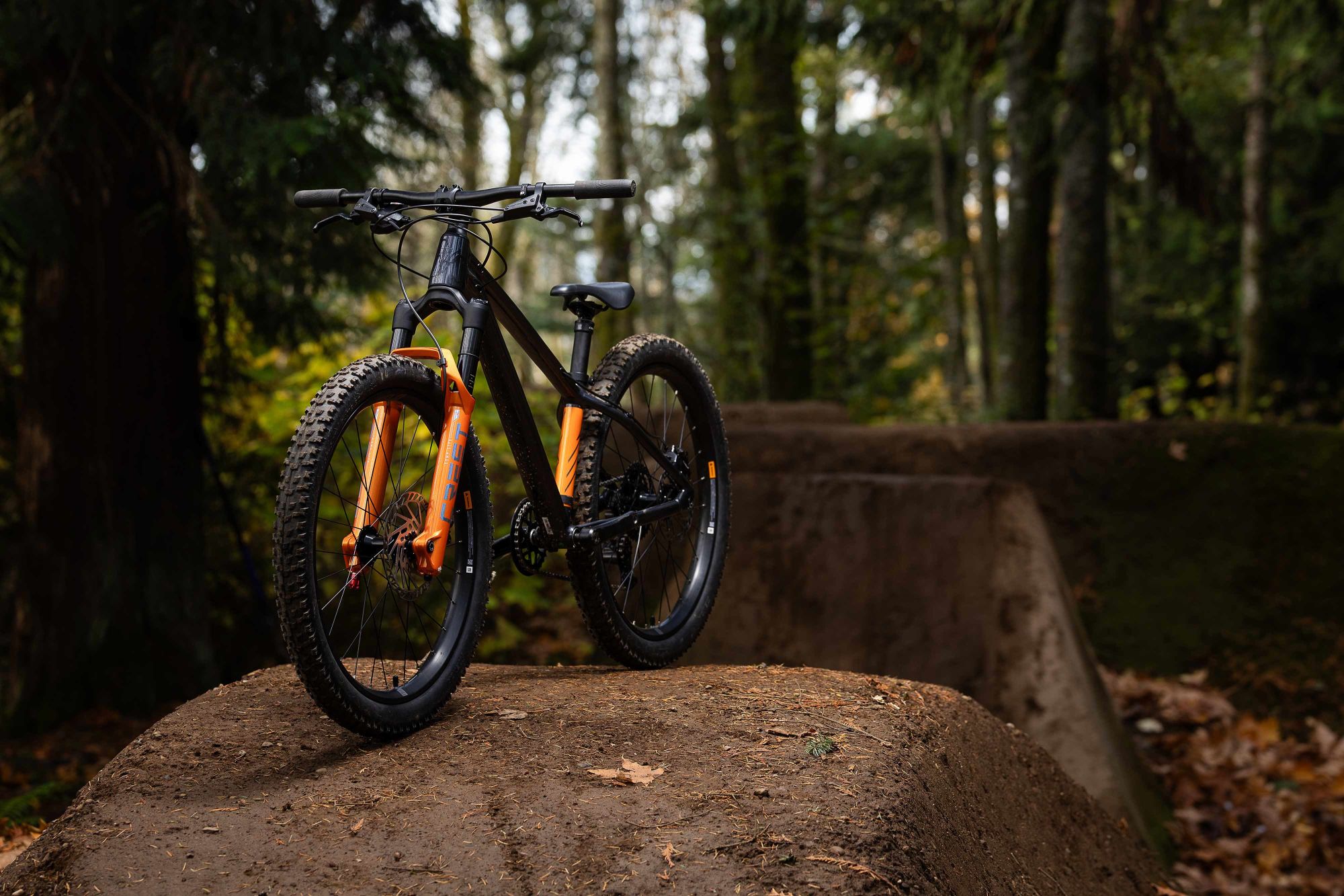 Laste jalgratas GIANT STP 24 (2026) Black Chrome - Image 7