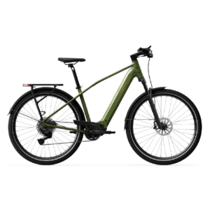 Elektrijalgratas TENWAYS AGO X Special Edition, 29" Green