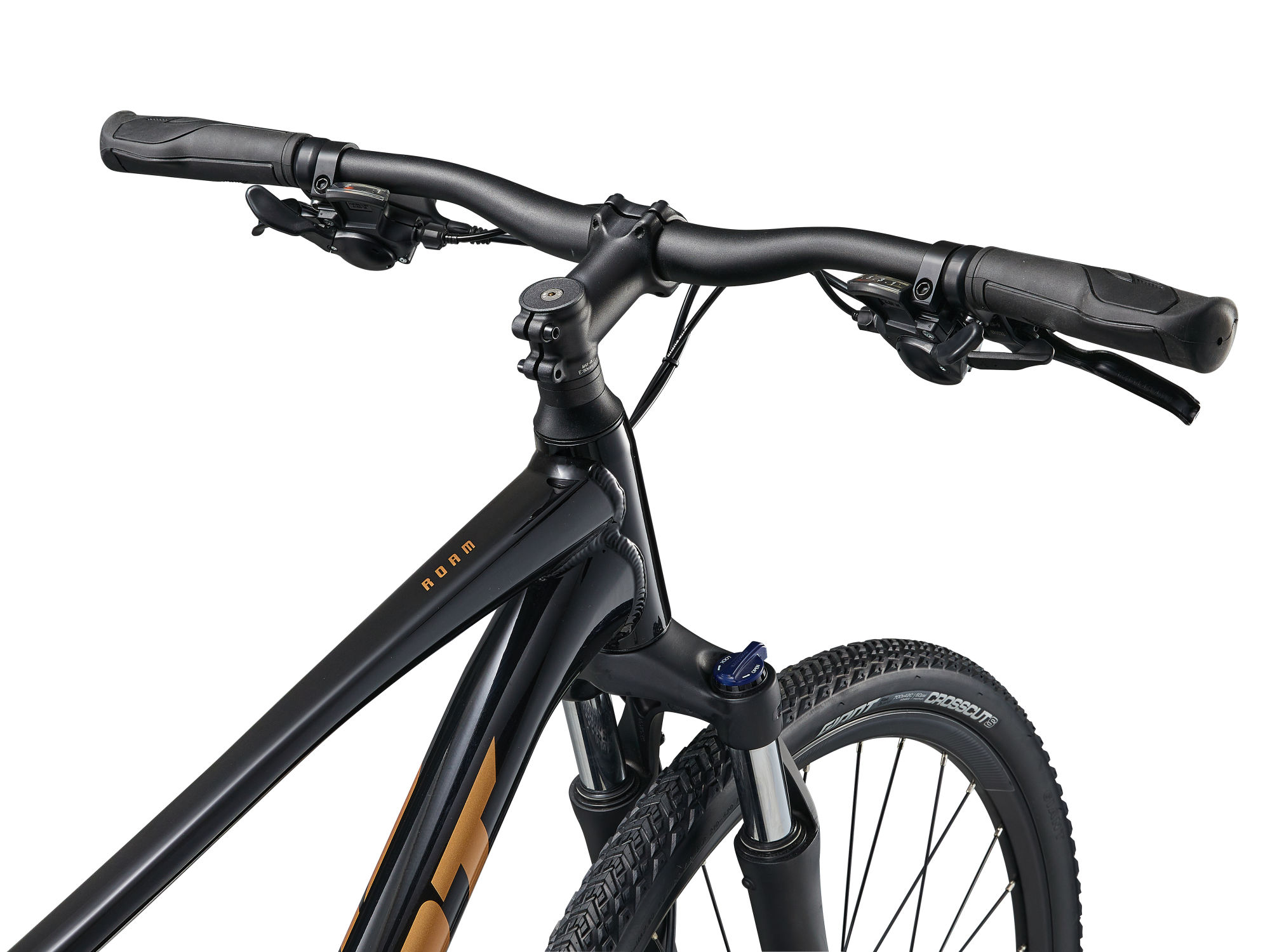 Jalgratas GIANT Roam 4, Black (XL) - Image 2