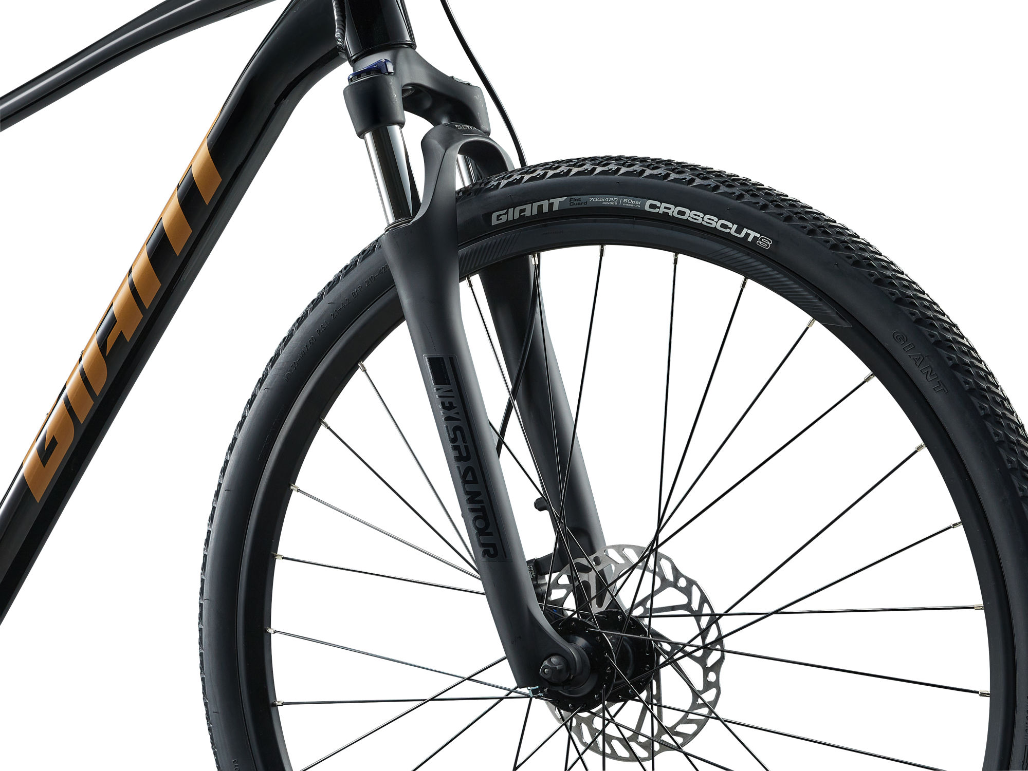 Jalgratas GIANT Roam 4, Black (XL) - Image 3