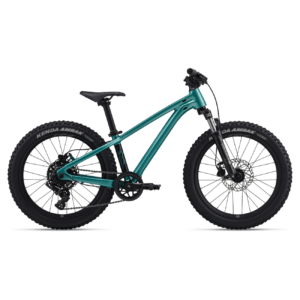 Laste jalgratas GIANT STP 20 FS, Teal