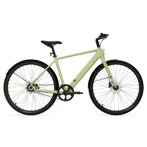 Elektrijalgratas TENWAYS CGO600 PRO, Avocado Green (L)