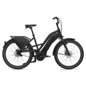 Elektrijalgratas MOMENTUM Delivery E+, 26" Black