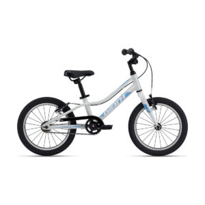Ülikerge laste jalgratas GIANT ARX 16" F/W Snow Drift