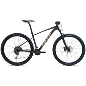 Jalgratas GIANT Talon 29 2 GE, Phantom Green (M)