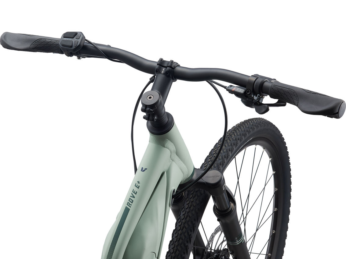 Elektrijalgratas LIV Rove E+, 28" Laurel, heleroheline (S) - Pilt 6