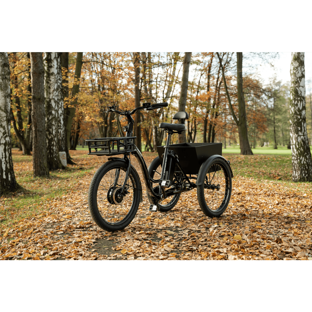 Kolmerattaline elektrijalgratas LEADER FOX Lovelo, Black - Pilt 6