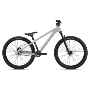Dirt jump jalgratas GIANT STP 26, Quicksilver