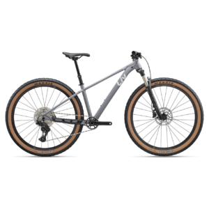 Jalgratas LIV Tempt 0 (2027) 29" Stardust Grey (L)