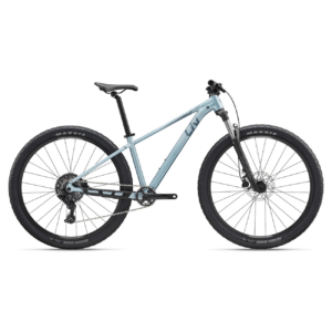 Jalgratas LIV Tempt 2 (2027) 29" Cryo Silver (L)